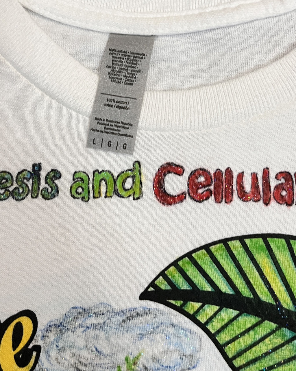 Photosynthesis &amp; Cellular Respiration Shirt – Hand-Detailed Completed Project image 4