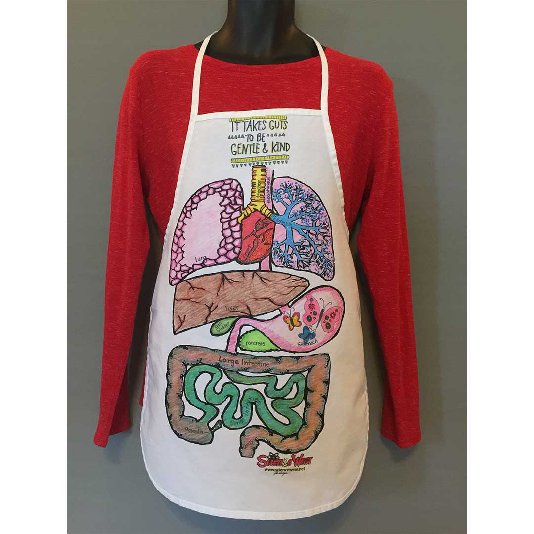 Human Anatomy Guts T-Shirt or Apron - Classroom Activity image 1