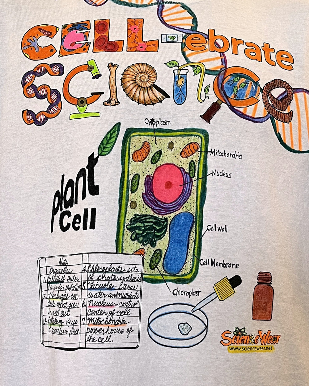 Completed project