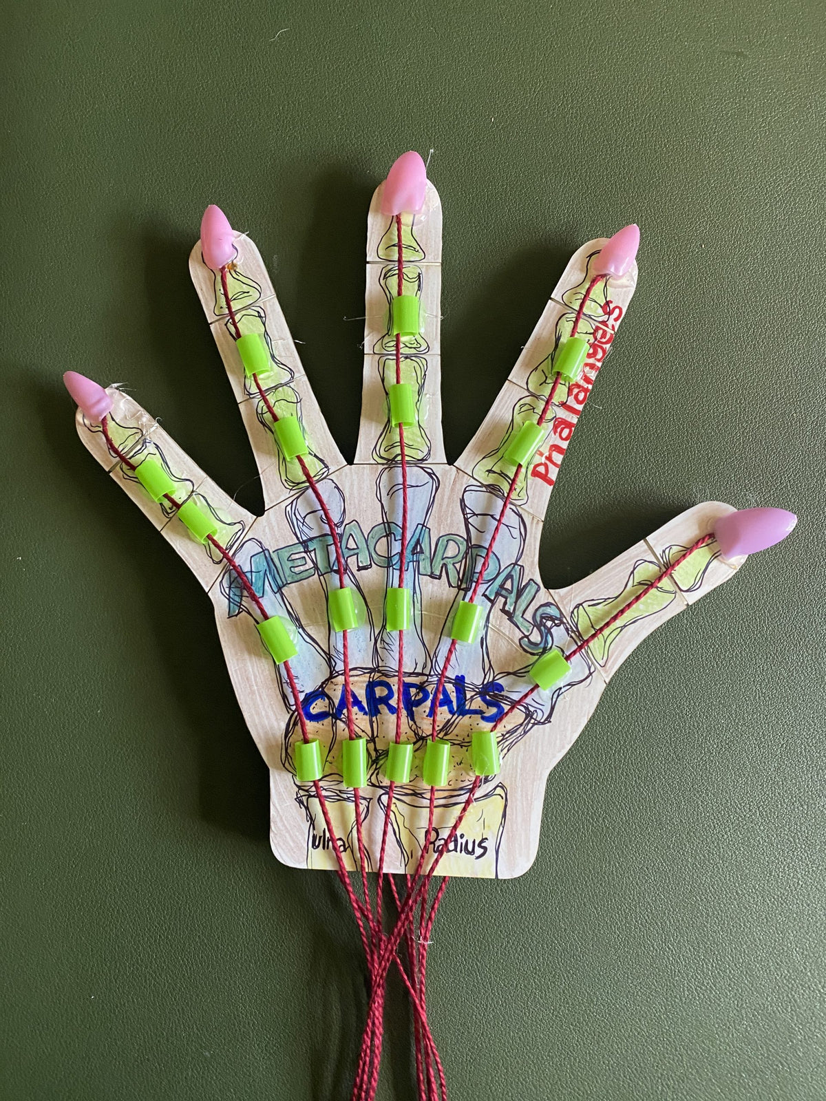 Articulated Hand Model Base or Kit image 1