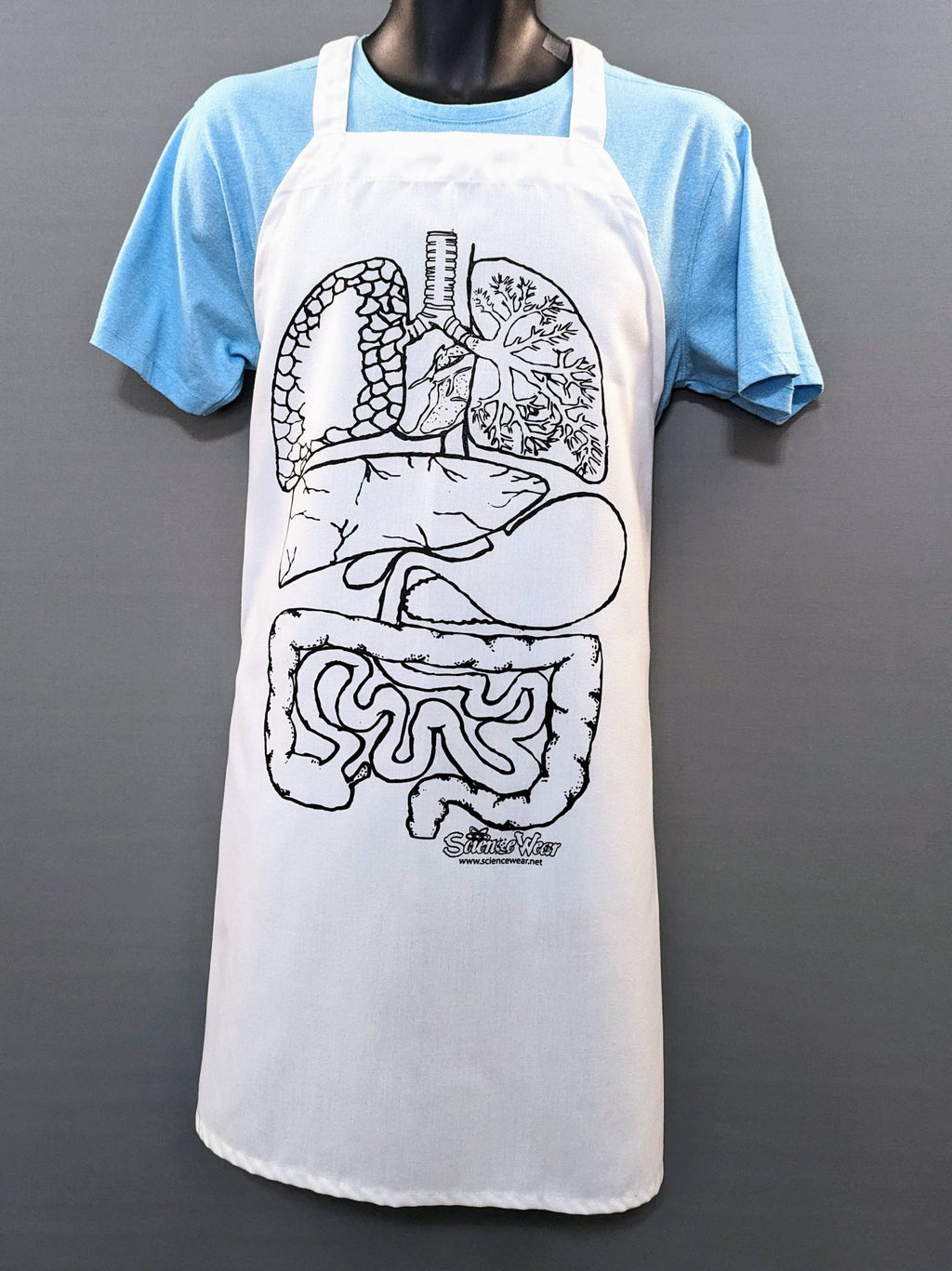Human Anatomy Guts T-Shirt or Apron - Classroom Activity image 2