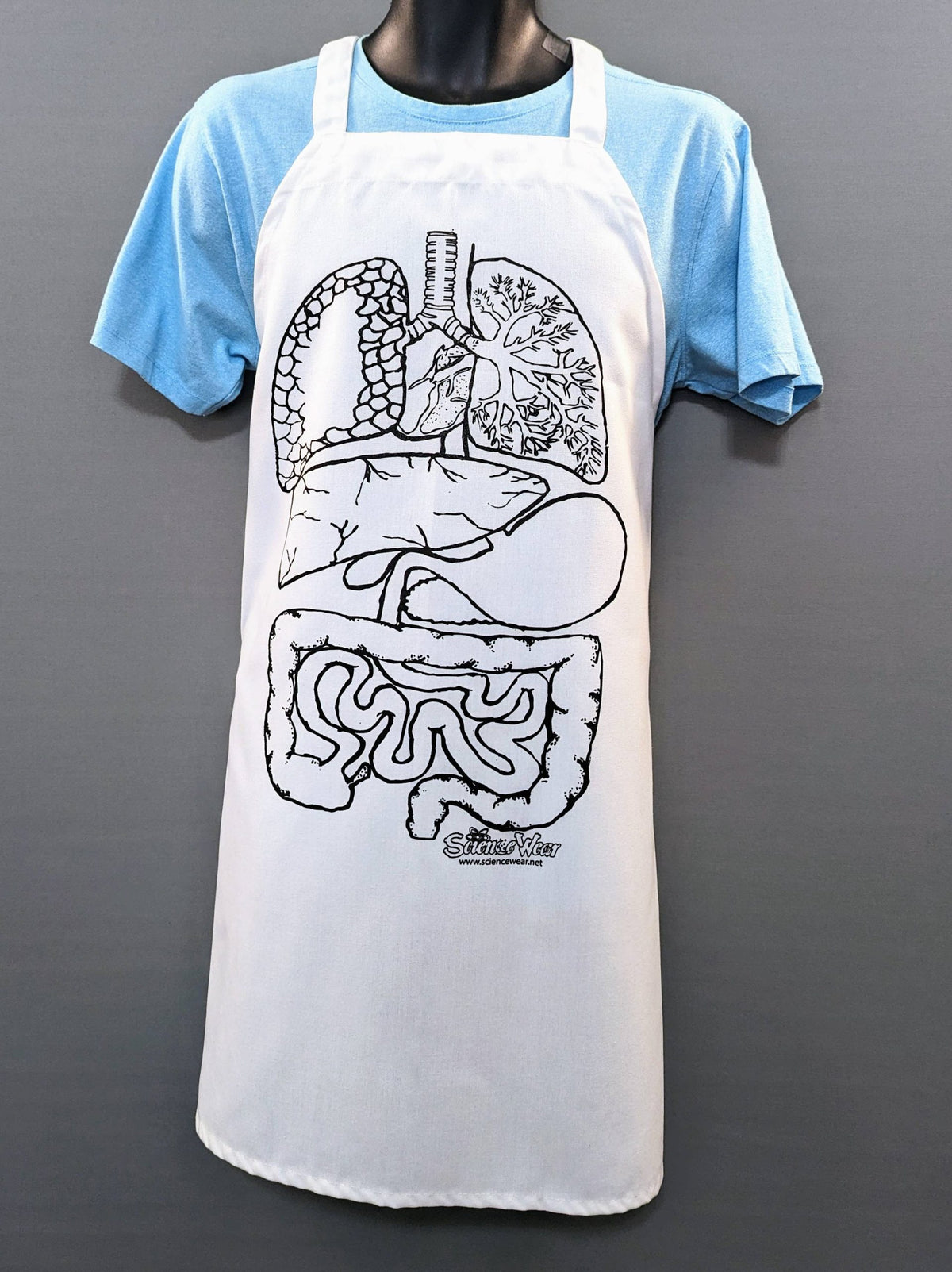 Human Anatomy Guts T-Shirt or Apron - Classroom Activity image 2