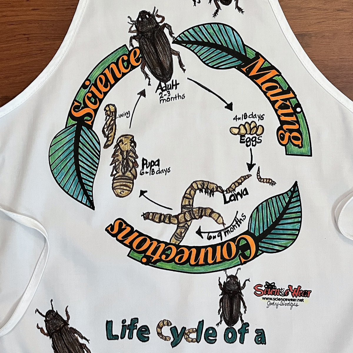 Meal Worm Beetle Life Cycle Apron – Hand-Detailed Completed Project image 1