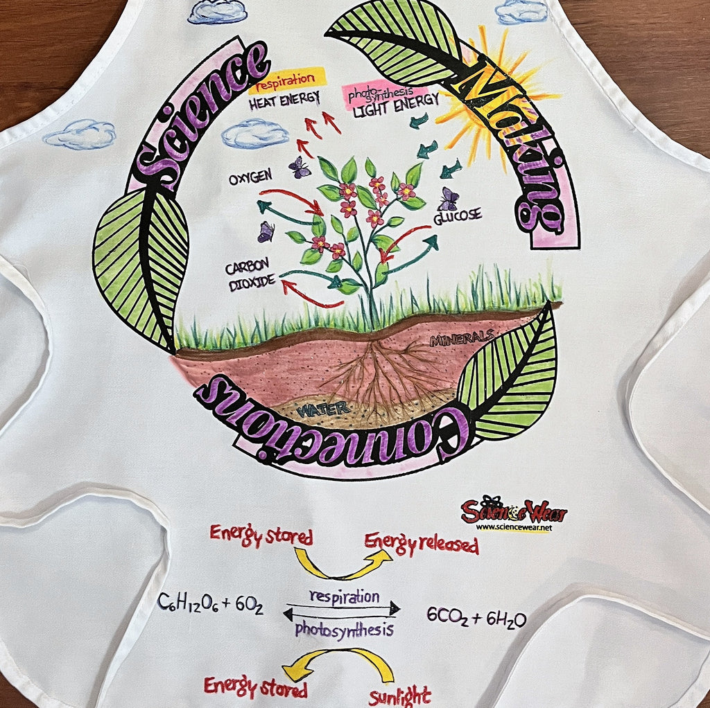 Plant Photosynthesis - Cycle Apron – Hand-Detailed Completed Project image 1