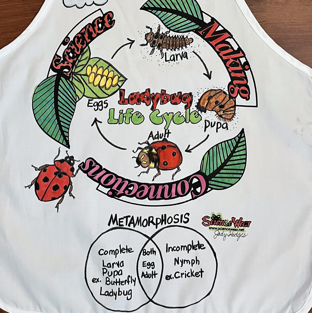 Ladybug Life Cycle Apron – Hand-Detailed Completed Project image 1