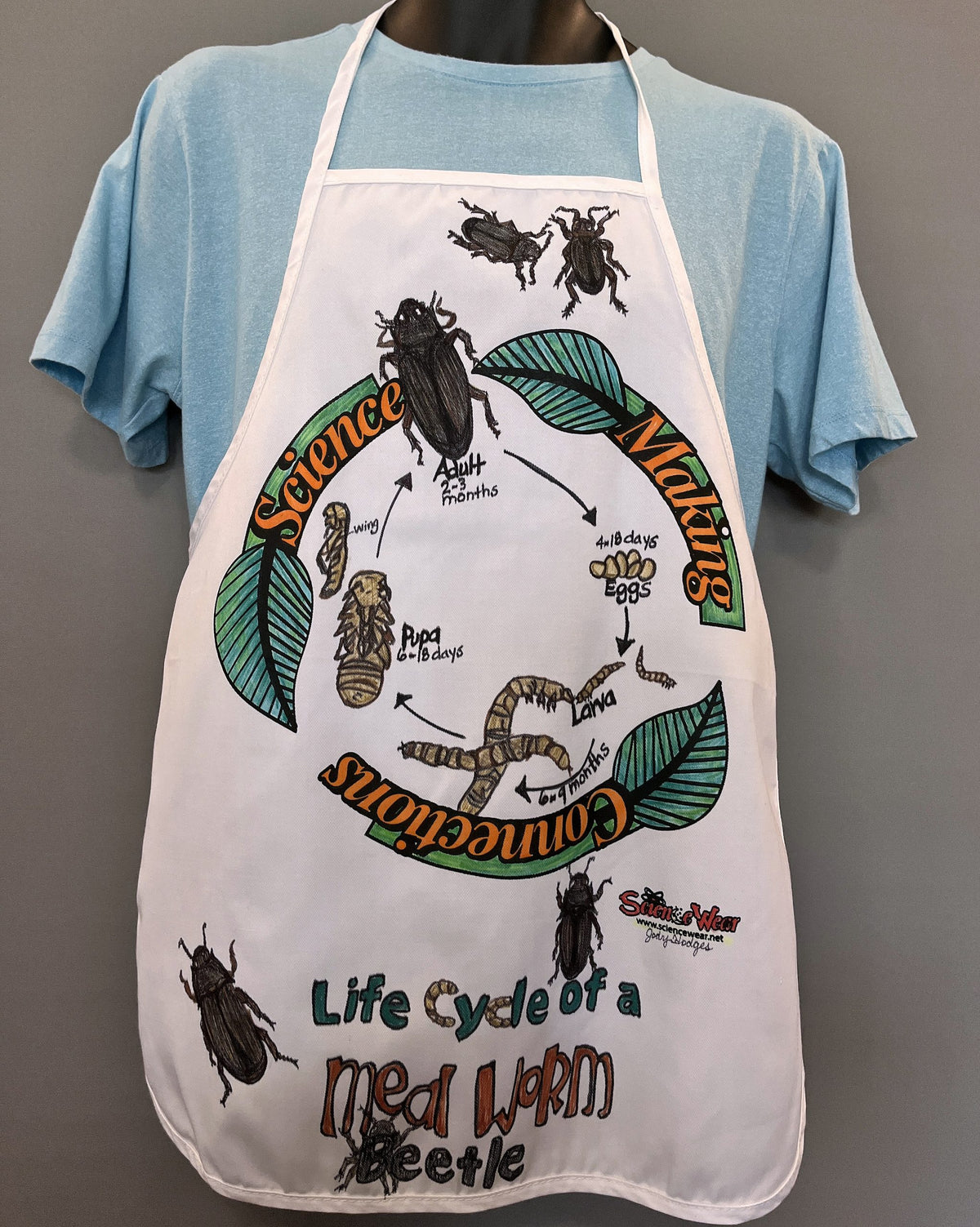 Meal Worm Beetle Life Cycle Apron – Hand-Detailed Completed Project image 0